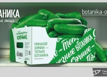 3D дизайн рекламы на кузове авто продукции ТМ «Ботаника». Огурцы. г.Волжский. 2018 год.