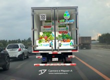 3D Vehicle Wrap Graphic Design. 3D реклама овощей «Kuwait Land». Задний борт. В2. Кувейт. 2023 год.